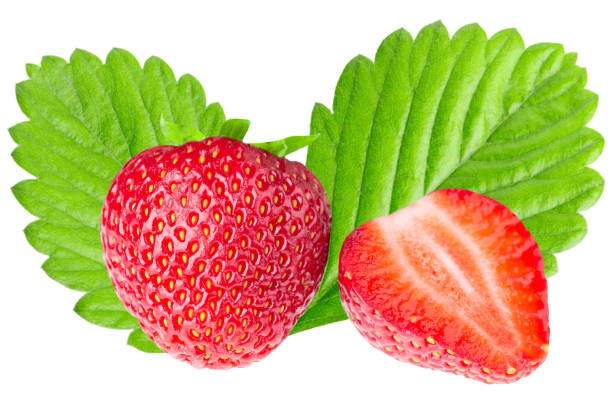 istock strawberries isolated on a white background 1161813011