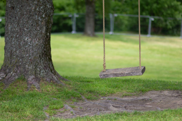 istock Empty tree rope swing with wooden board in summer park 1161813179