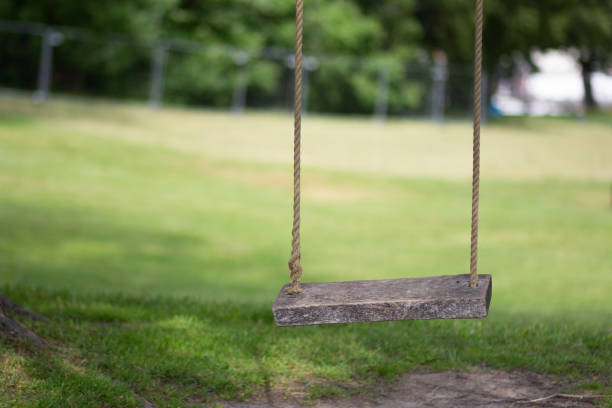 istock Empty tree rope swing with wooden board in summer park 1161813959