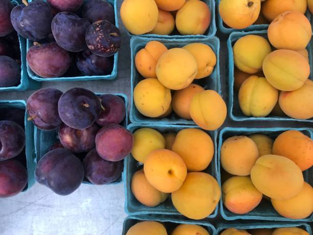 istock simka plums and apricots 1161814952