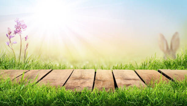 istock A wooden table with a sunny summer background 1161815111