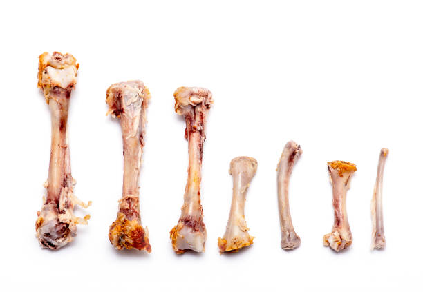 istock Some kind of Chicken Bones with Meat isolated on white Background 1161815342