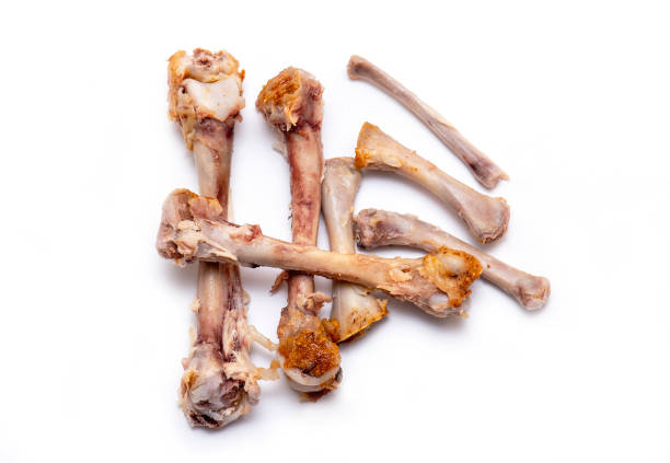 istock Some kind of Chicken Bones with Meat isolated on white Background 1161815345