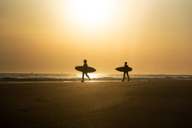 istock Silhouette of two young men with surf boards 1161817440