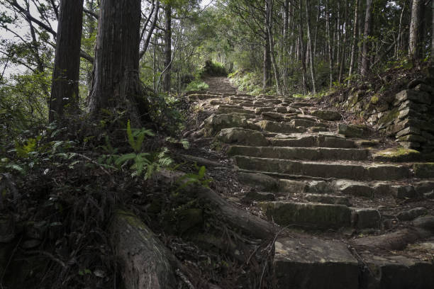 istock Steps on the Kumano Kodo trail in Japan 1161821414