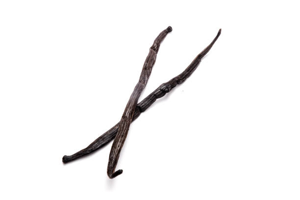 istock vanilla pods isolated on white background 1161821533