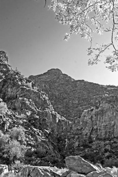 istock Az Mountain Desert Beauty BW 1161822456