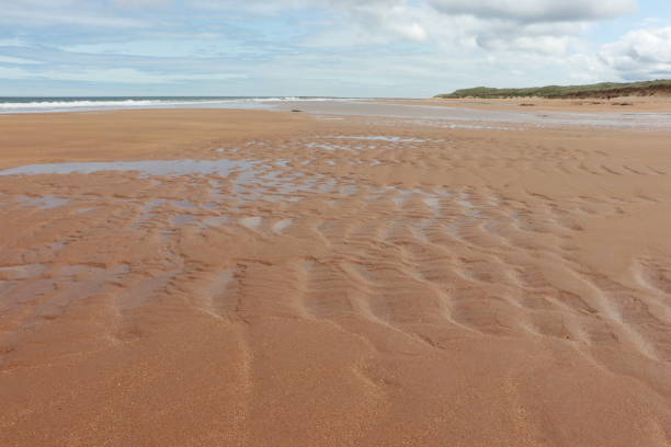 istock Sand and water by the coast 1161827852