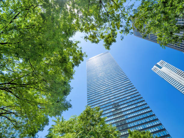 istock Fresh green trees and Shinjuku skyscraper city 1161838706