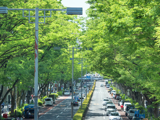 istock Fresh green Omotesando,Tokyo 1161839450