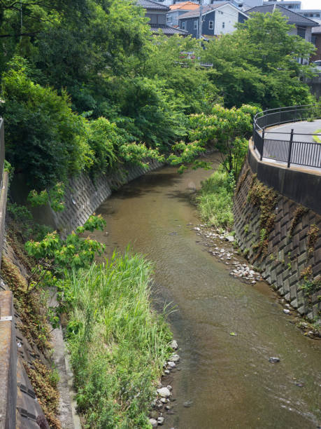 istock Nobi River in Kanagawa Prefecture 1161839496