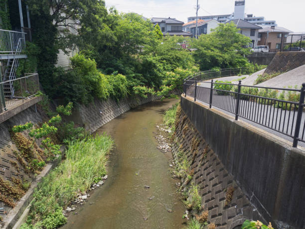 istock Nobi River in Kanagawa Prefecture 1161839516