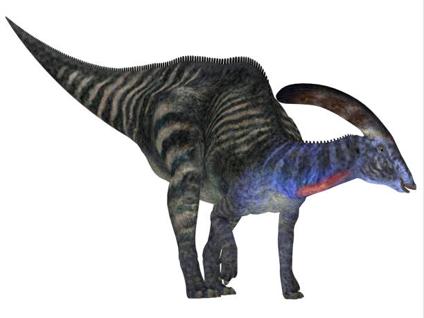 istock Parasaurolophus Dinosaur 1161839605