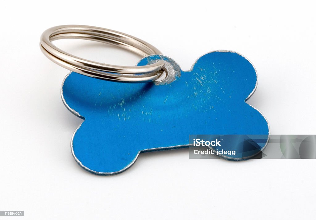 Blank Pet ID tag Blank Metal Pet Identification tag. Room for own copy, Isolated on white. Pet Collar Stock Photo