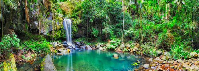 Clean fresh water pool between rocks formed by waterfall cutting through mountains in Tamborine mt national park and lush rainforest, Quensland, Australia.