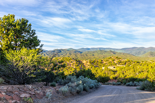 Sunset Santa Fe, New Mexico in Tesuque with golden hour light on green plants and dirt road to residential community