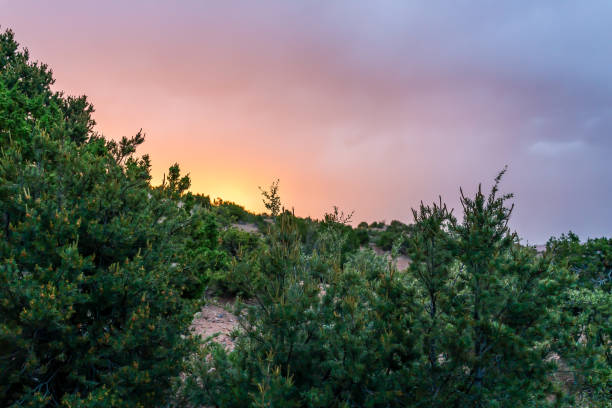 coucher du soleil dans santa fe, montagnes du nouveau-mexique dans le voisinage de communauté de tesuque avec des usines vertes et des nuages colorés de ciel d'orage - new mexico landscape sky ethereal photos et images de collection