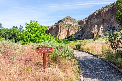 Board on top of Mountain Cauyamaca. At 6,512 feet it is the second highest peak in San Diego County