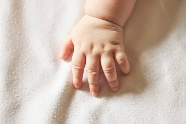 Hand Of Little Baby