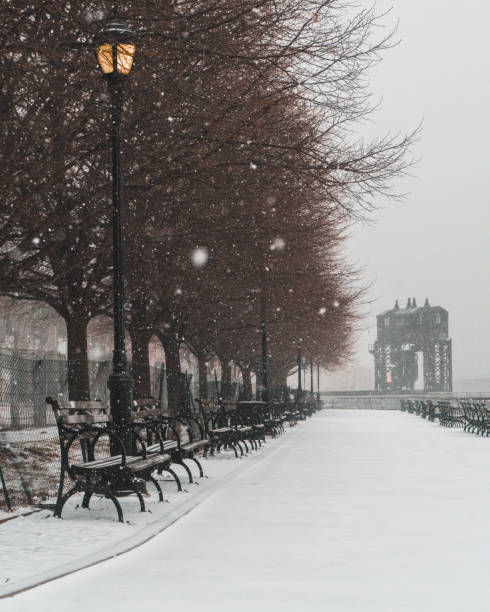 istock Snow in New York 1161849153