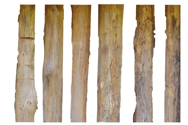 istock Old Wood plank isolated on white background. with clipping path. 1161852075