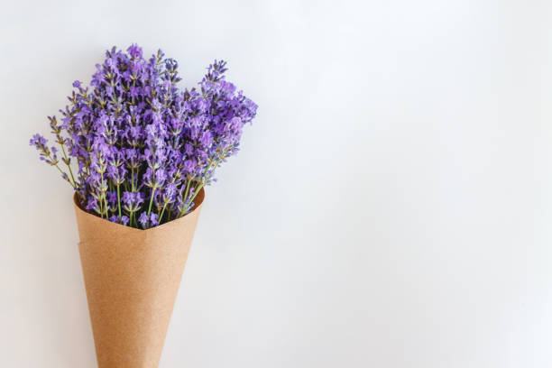 istock lavender flowers bouquet in parchment paper cone on a white isolated background. Copy space. Flat lay. Minimalism 1161854492