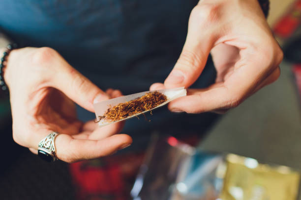 hands of a man rolling a cigarette. the concept of marijuana, drugs, addiction. - tobacco cigarette tobacco product rolling imagens e fotografias de stock