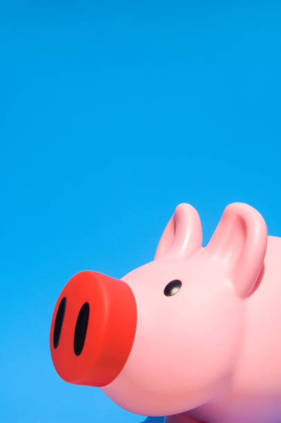 istock Piggy bank 1161855277