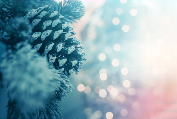 istock Christmas Background with bokeh light; Blurred Xmas background 1161855291
