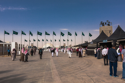 King Abdulaziz Camel Festival is one of the main annual cultural events in Saudi Arabia. Riyadh Province.