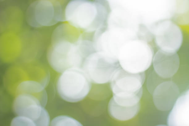 istock Natural spring blurred green leaves background. Create light soft colors and bright sunshine. 1161860440