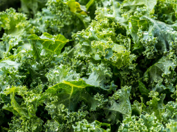 istock Freshly washed and trimmed kale leaves ready for salad or cooking 1161865504