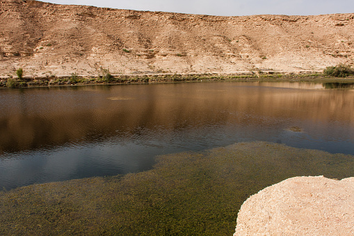 The Naquibs Pond is a good example of the isolated freshwater ecosystem in the desert.
