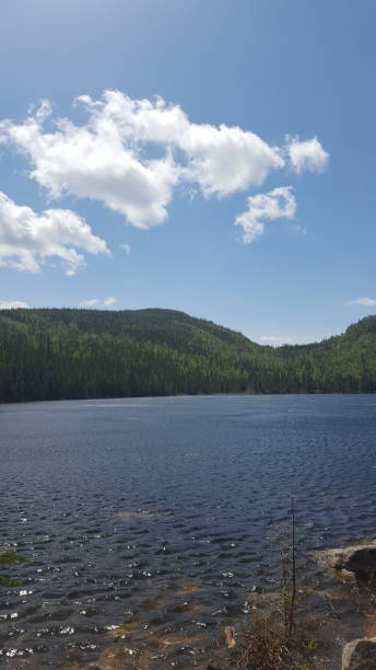 istock Between Lake and Mountains of the Great Gardens (photo1) 1161868391