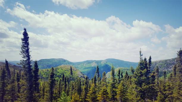 istock Mountainlandscape of the Great Gardens (photo12) 1161869215