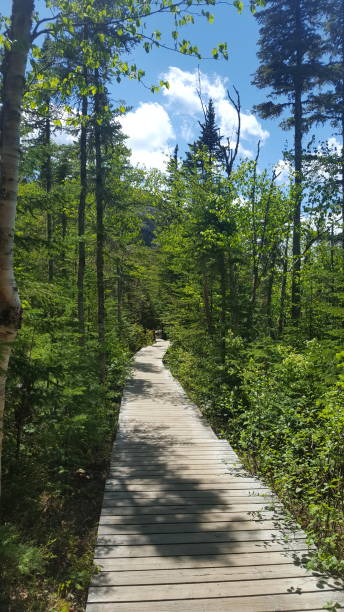 istock Trails of the Great Gardens (photo9) 1161869847