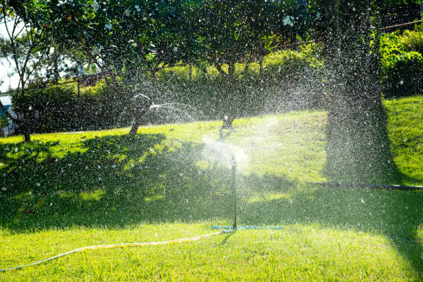 istock automatic watering system and water sprayed from the sprinkler for lawn, grass. 1161869848