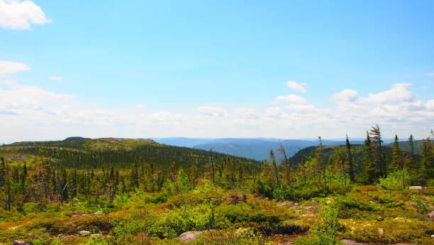 istock On the summits of the Great Gardens (photo24) 1161869936