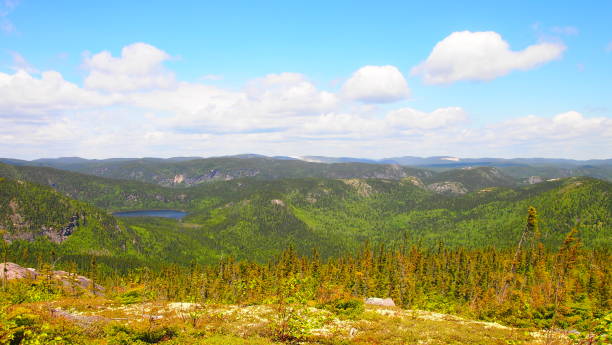 istock On the summits of the Great Gardens (photo21) 1161869937