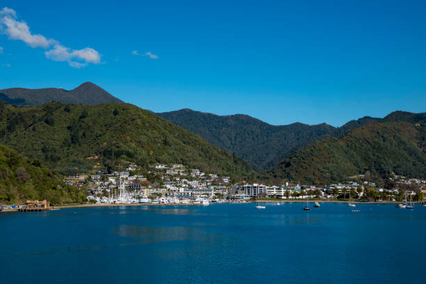 istock New Zealand Coast 1161873013