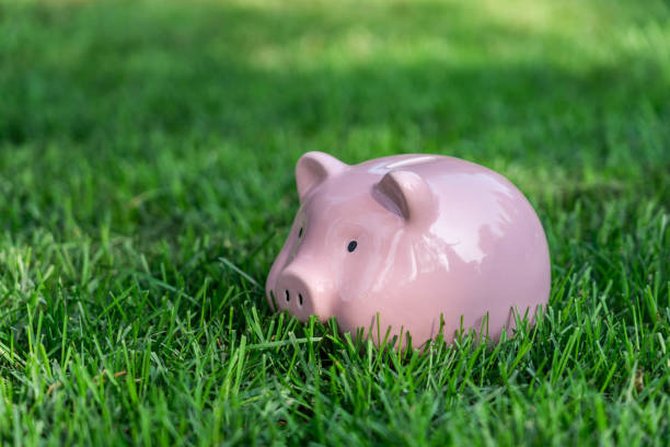 istock Pink piggy bank on the grass 1161874300