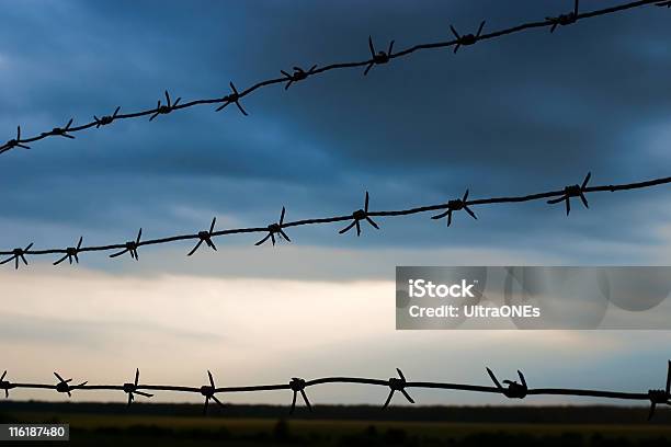 Libertad Foto de stock y más banco de imágenes de Acero - Acero, Aire libre, Alambre