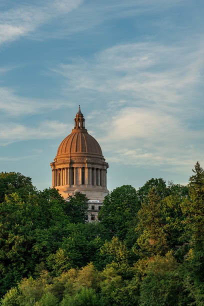 istock Capitol Dome Of Washington State On A Summers Evening 1161878698