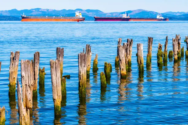 Moss covered wooden mooring poles in the ocean with cargo ships sailing in background. Container nautical vessels/ merchant tankers with shipment of import/export goods making delivery.