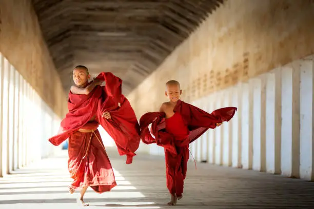 Photo of Buddhism novices are walking with umberella in temple