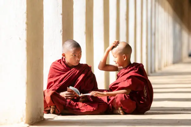 Photo of Buddhism novices are reading and study in temple