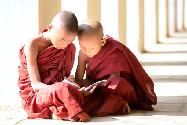 Photo of Buddhism novices are reading and study in temple