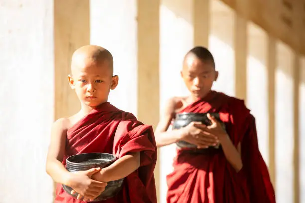 Photo of Buddhism novices are walking with umberella in temple