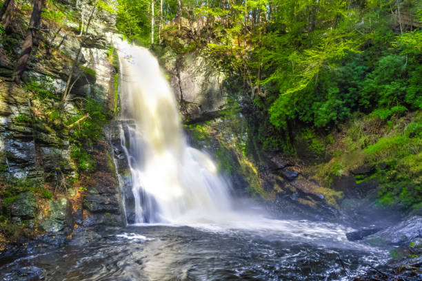 istock A waterfall in solitude surrounded by lush foliage 1161885383