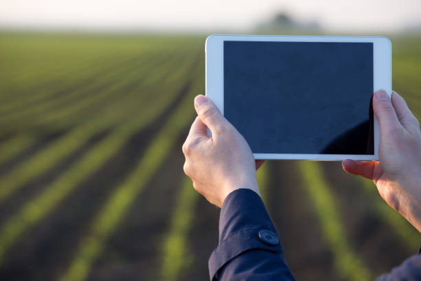 istock Farmer holding tablet with blank display in field 1161889460